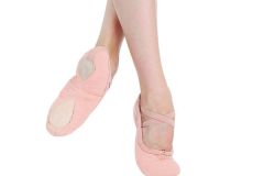 Capezio-Pro-Canvas